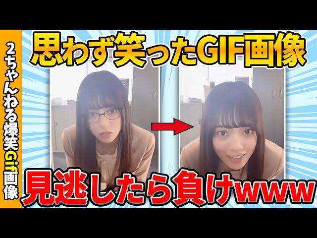 【2chgif】おもしろgif画像で笑ったら寝ろww by 2ch【コメ付き】【ゆっくり解説】【2chスレ】【5ch】#221