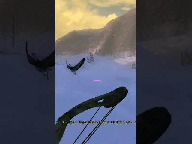 the perfect way to end snow goose mission's | The Hunter Classic
