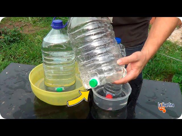 homemade drinking trough for pets and chickens made from reused plastic bottles