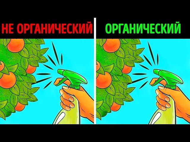 Органические продукты: правда или миф?