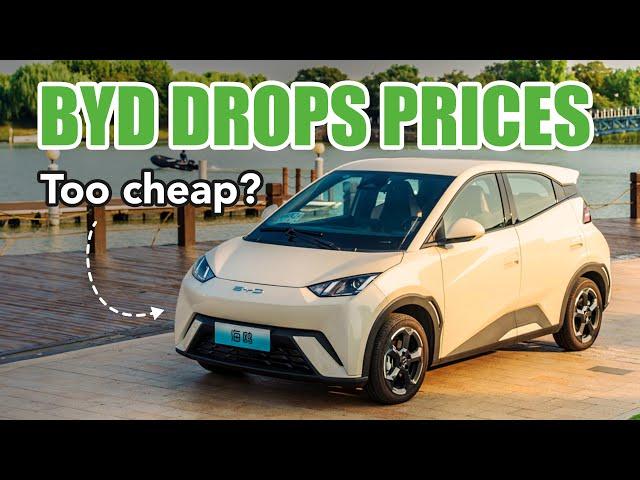 Will BYDs Just Keep Getting Cheaper?