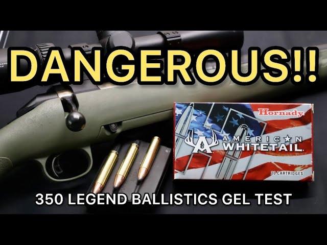 DANGEROUS LEGEND!! 350 Legend Hornady American Whitetail 170gr Ammo Test