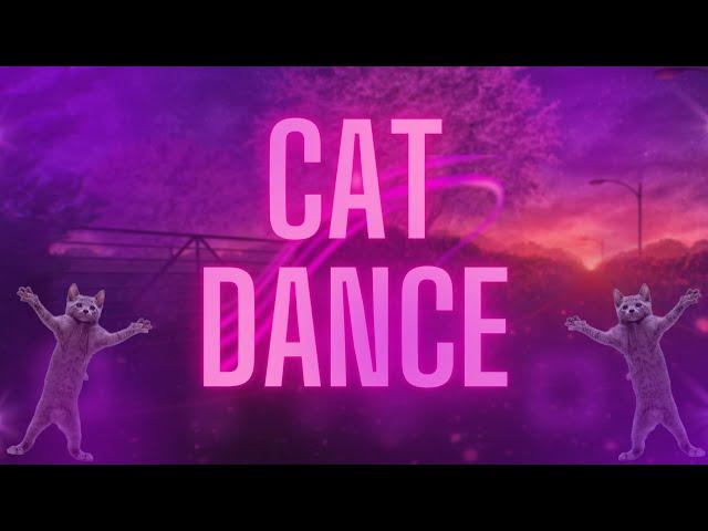 CAT DANCE/ КОТЫ ФЛЕКСЯТ ПОД МУЗЫКУ