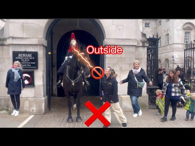 Grandma was warned when she went inside and wanted to kiss the horse.( some grandma are funny)