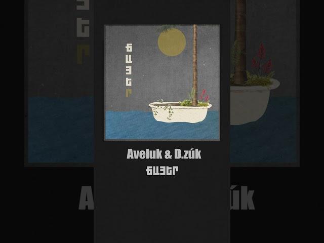 Aveluk & D.zúk - Ճայեր