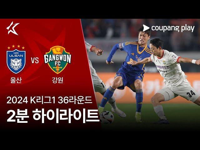 [2024 K리그1] 36R 울산 vs 강원 2분 하이라이트