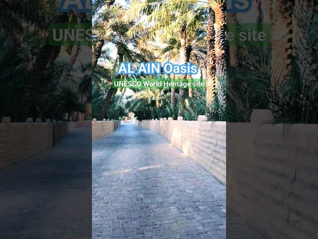 Al Ain Oasis | UNESCO World Heritage Site #travel #alain #alainoasis #uae #unesco