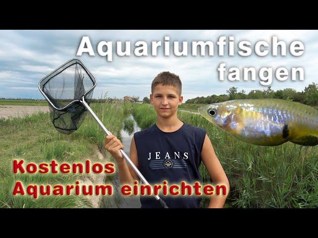 Fische fangen + Aquarium einrichten -  Lebendgebärende Fische für das 1000 Liter Aquarium kostenlos!