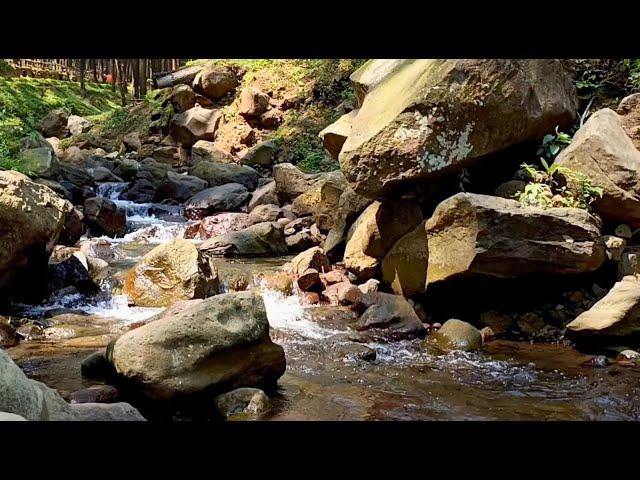 Tranquil River Flowing Sounds for a Restful Night’s Sleep and Stress-Free Mind | Waterfall Sounds