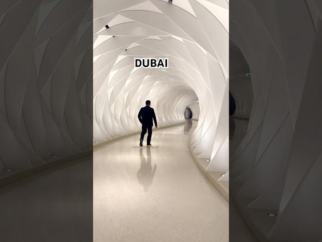 The Dubai Museum of the Future #travel #love #dubaimuseumofthefuture #dubai