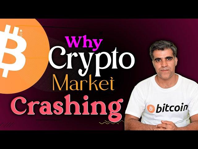 Crypto Market Latest News Updates Why Cryptocurrencies crashing so bad