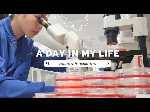 Day in the Life of a Research Assistant in Cambridge (weekend) | bacteria & stem cell culture 