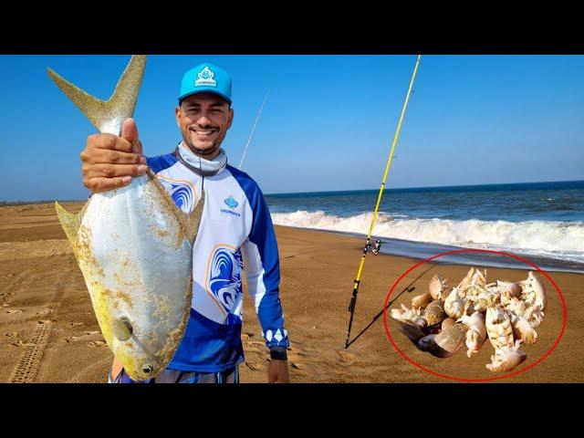 COM ESSA ISCA FICA FÁCIL FISGAR O PEIXE GRADE na PESCA DE PRAIA!!!