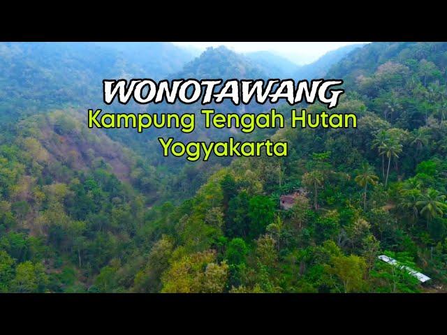 TAK DISANGKA, DITENGAH HUTAN ADA KAMPUNGNYA, KAMPUNG TENGAH HUTAN DUSUN WONOTAWANG