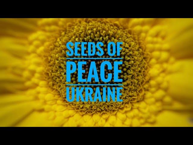 Seeds of Peace