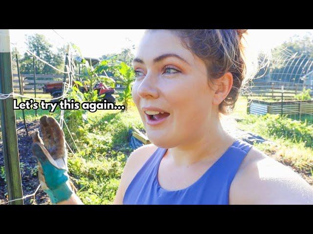 GARDEN VLOG l Tackling to do’s (Onions ROUND 2) + An unexpected harvest #gardenvlog #fallgarden