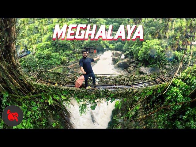 MEGHALAYA TRAVEL VLOG (wettest place on Earth)  | Living Root Bridge, Cherrapunji, Mawlynnong