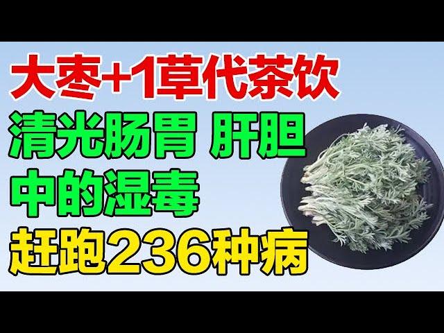 肝胆湿热重、全是毒，大枣和这个草一起代茶饮，清光肠胃、肝胆中的湿毒【养生有道2024】