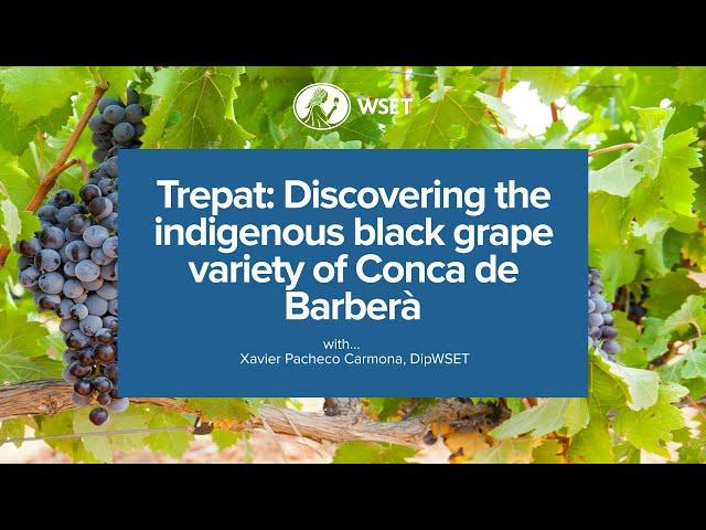 Catalan Wine Series -Trepat: Discovering the indigenous black grape variety of Conca de Barberà