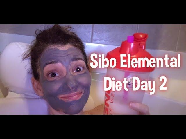 Elemental Diet SIBO Diary Day 2 | Lisa Monoson