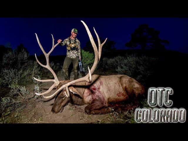 2024 Giant Archery ELK HUNT In Colorado | BEAST BROADHEAD