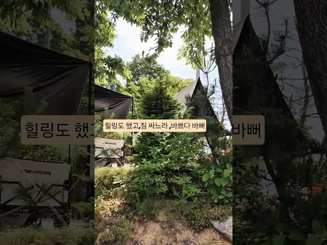 50대부부의감성캠핑 12~#캠핑요리 #트로트영상 #힐링일상 #shorts #campinglife #koreanvibes