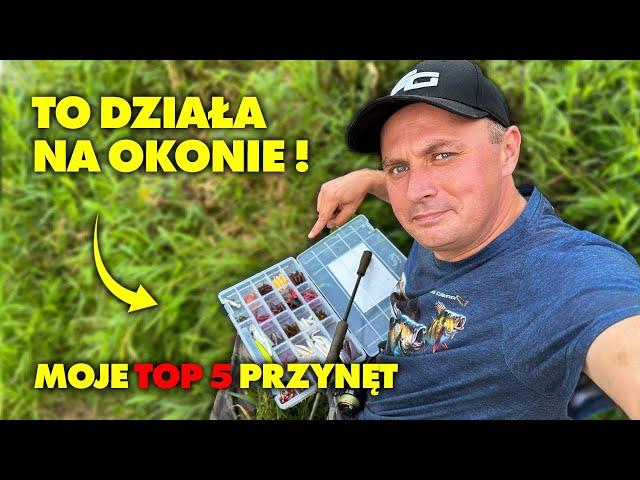 TE PRZYNĘTY na OKONIE MUSISZ MIEĆ !