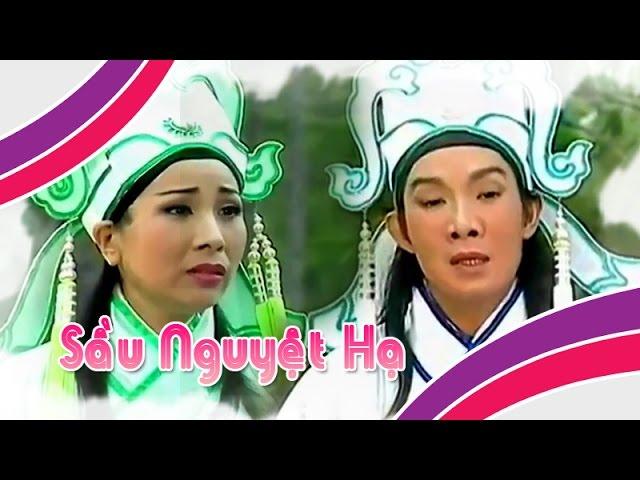 Điệu hồ quảng | SẦU NGUYỆT HẠ (Vũ Linh Phượng Mai) ĐHQ | Cải Lương Tôi Yêu