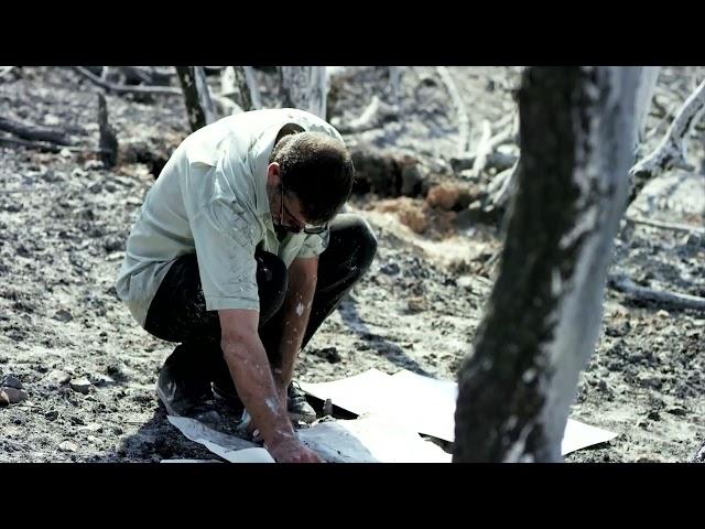 Christos Koutsouras: Land Art (Telling Trees) Curated by Jeremy Efroymson