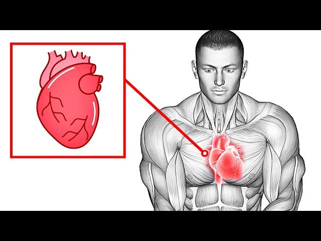 Do This 10 Min Everyday to Less Risk Of Heart Disease