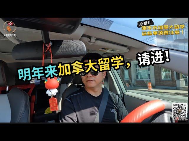 明年想来加拿大留学，请进！｜加拿大移民｜留学移民｜新移民｜#S哥聊枫叶国