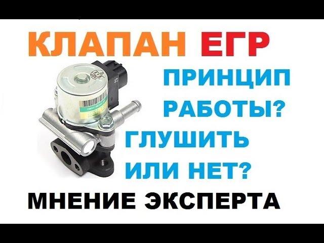 Клапан ЕГР! Принцип работы. Глушить или нет?!