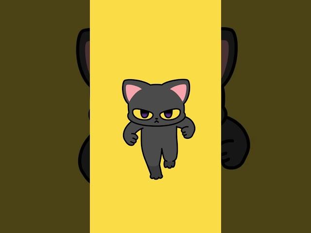 Sigma cat RUNRUN Challenge