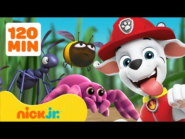 Psi Patrol | PAW Patrol: Ratowanie i przygody z robakami!  2 godziny | Nick Jr. | Nick Jr. Polska