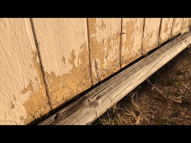 ABP Home Insights: Pressboard/Hardboard Siding and Maintaining Paint | Alpine Building Performance