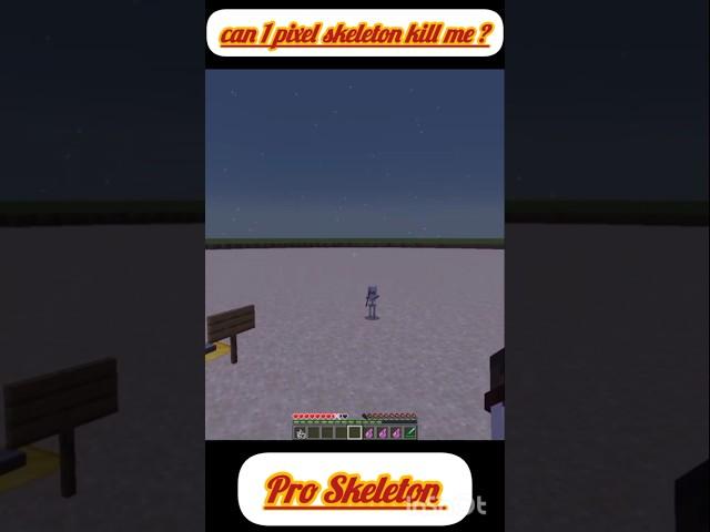 Can 1 Pixel Skeleton kill me ?? #shorts