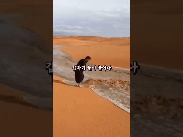사막에서 사람들이 가장 많이 죽는 원인..?