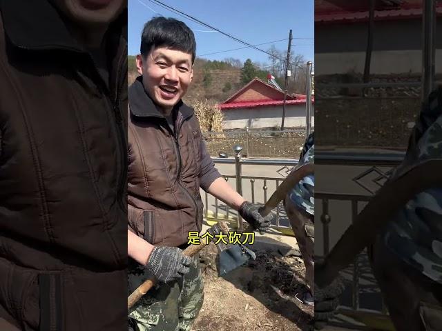 鑫鑫在家乡