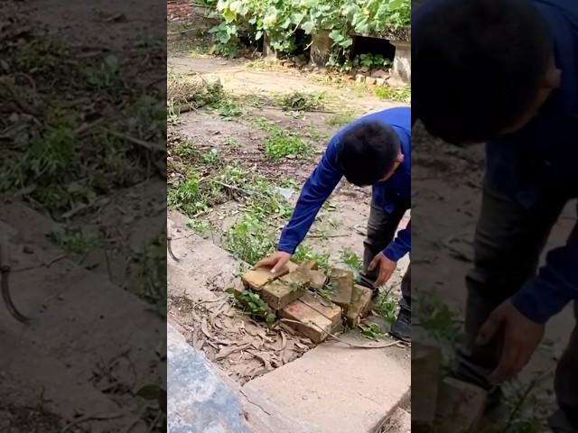 Clean up, cutting down,#cleaningup ,#cleanup ,#cutdow