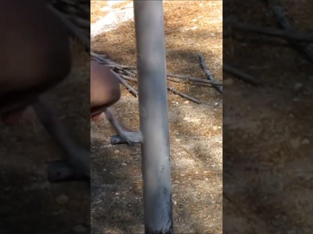 FRUGAL OFF GRID PROJECT - FAST PAINTING
