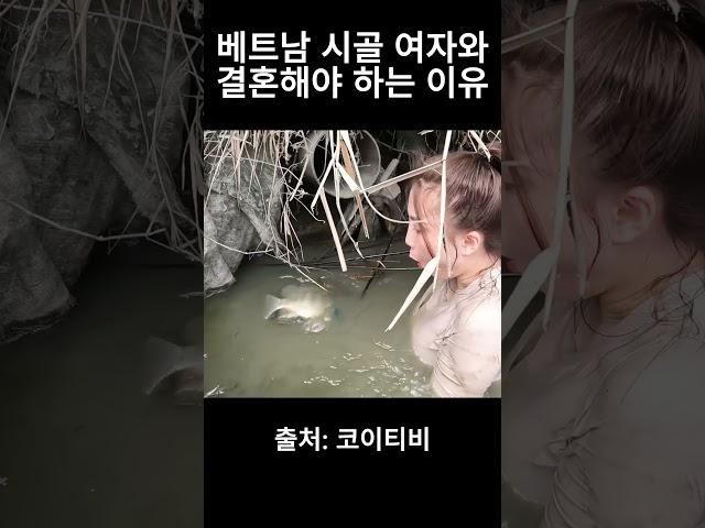 베트남 시골 여자와 결혼하는 이유