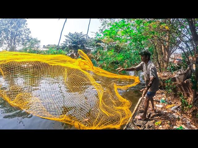 Amazing Cast Net Fishing In Roadside Lake | A Hard Day For Fisherman