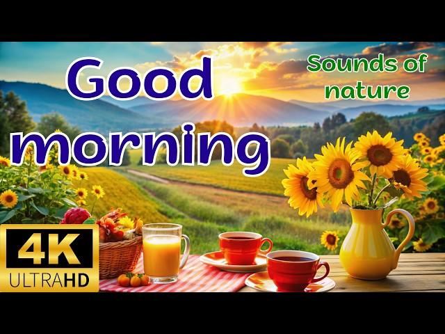 Good Morning. Good Morning Status. GOOD MORNING MUSIC. HAPPY MORNING. Nature sounds #goodmorning