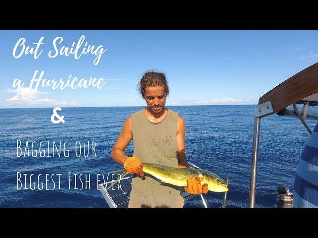 Out Sailing a Hurricane and Bagging our Biggest Fish Yet! [EP 31] | Sailing Millennial Falcon