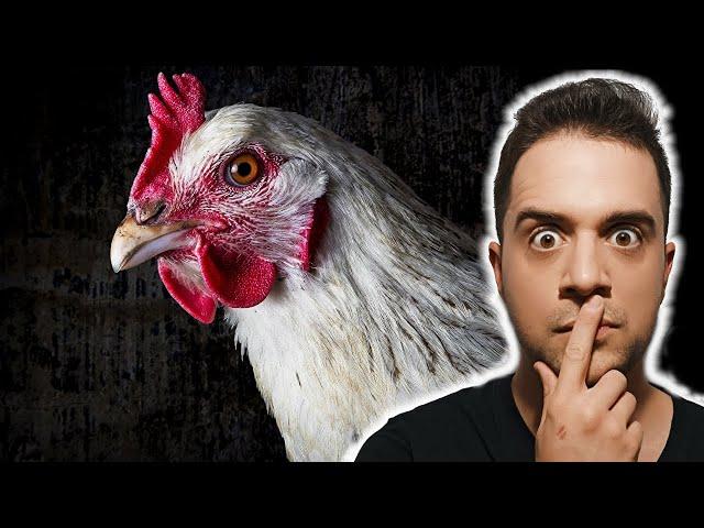 ‘’Las Gallinas están MANIPULADAS GENÉTICAMENTE'’