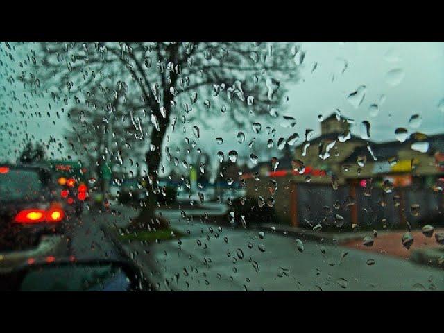 #Beautiful rain// Shorts Winter Rain 2021 #Puget Sound// Seattle // Mallu Seattle