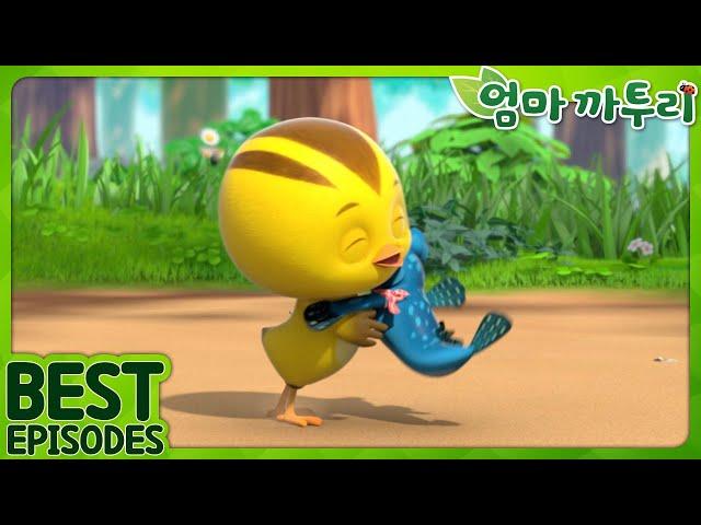 [엄마까투리 Best] 숲에 놀러 왔어요! | 엄마 까투리 | 까투리 | Katuri | 베스트 에피소드 모음 제A3화