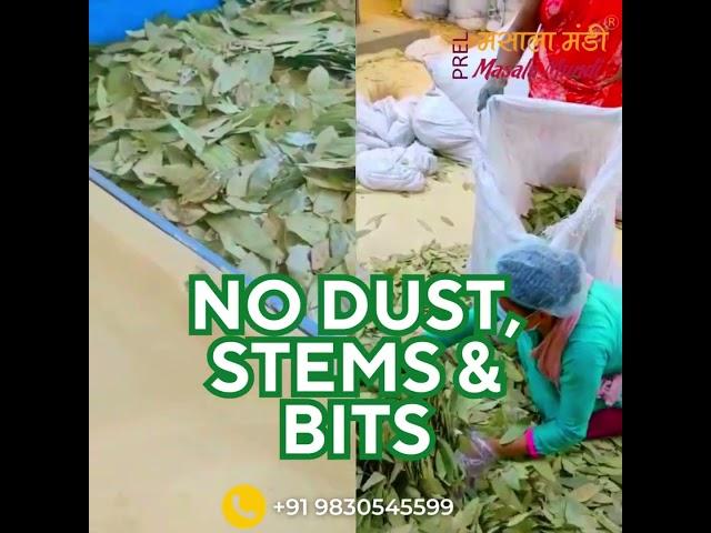 Clean Tej Patta | Bay Leaves C1 #bayleaf #spice #food #bayleaves