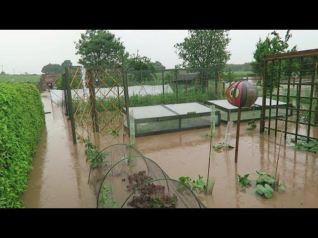 Flash Flood.. Vegetable Garden Under Water.