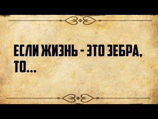 Лучшие цитаты дня | Коллекция золотых цитат со смыслом